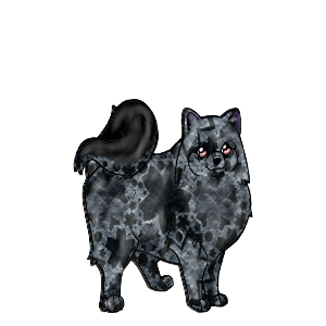 Adorbs ~ First Canis